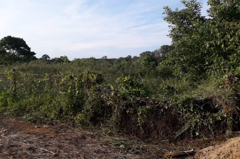 WhatsApp Image 2019-08-15 at 9.20.41 AM.jpeg